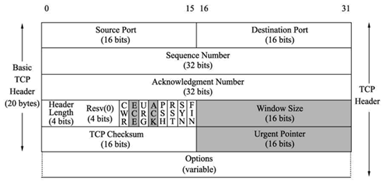 TCP报结构
